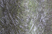 Silfield fibreglass roof work